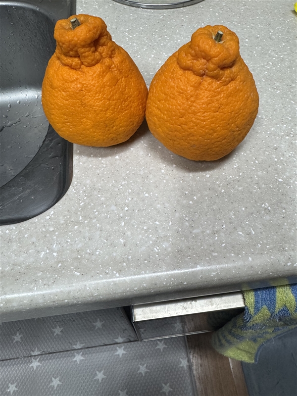 20260502065839663_IMG_5992.jpeg